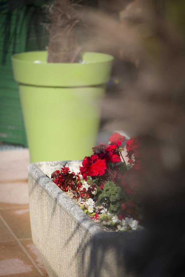 Bed and Breakfast Le Relais De St Martin Rilly-la-Montagne Экстерьер фото